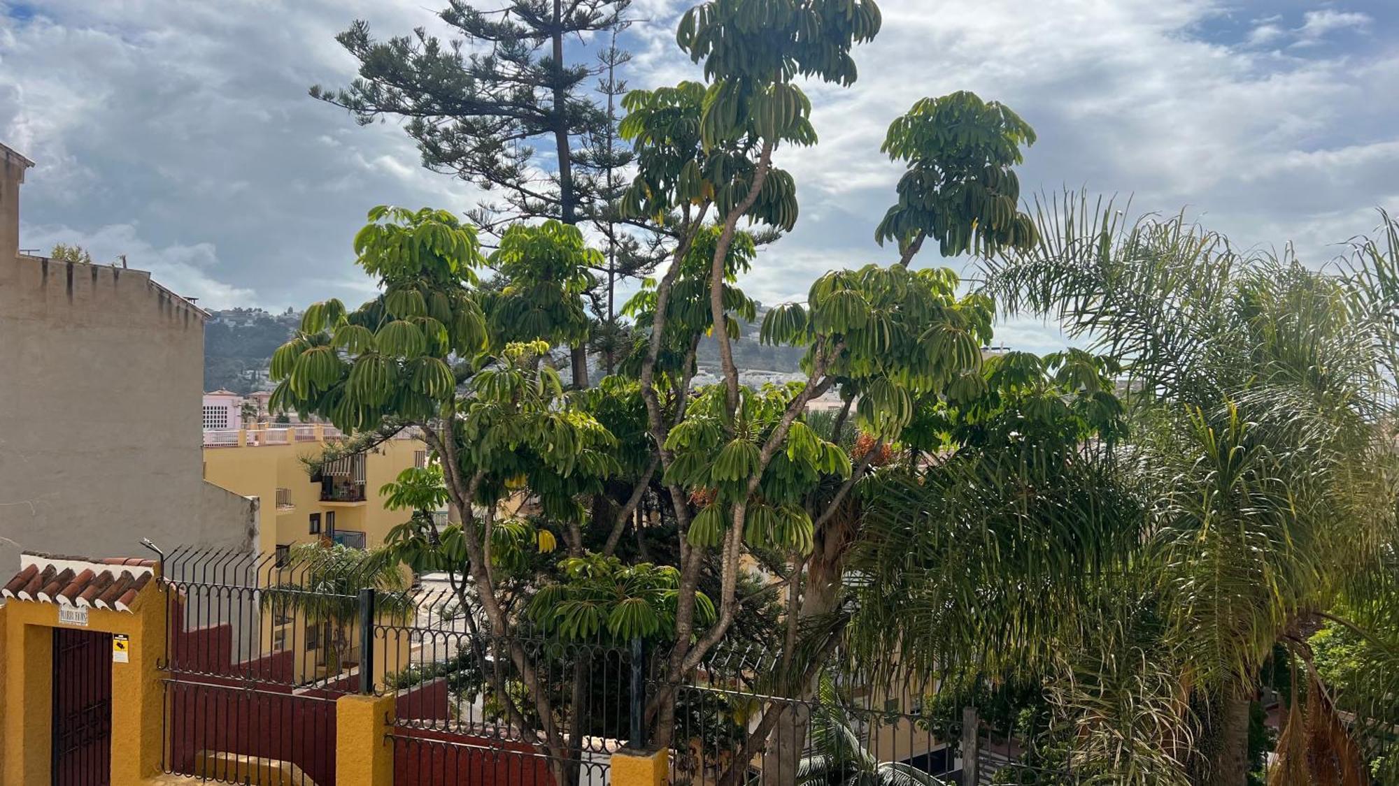 Pipa Apartments Almunecar Bagian luar foto